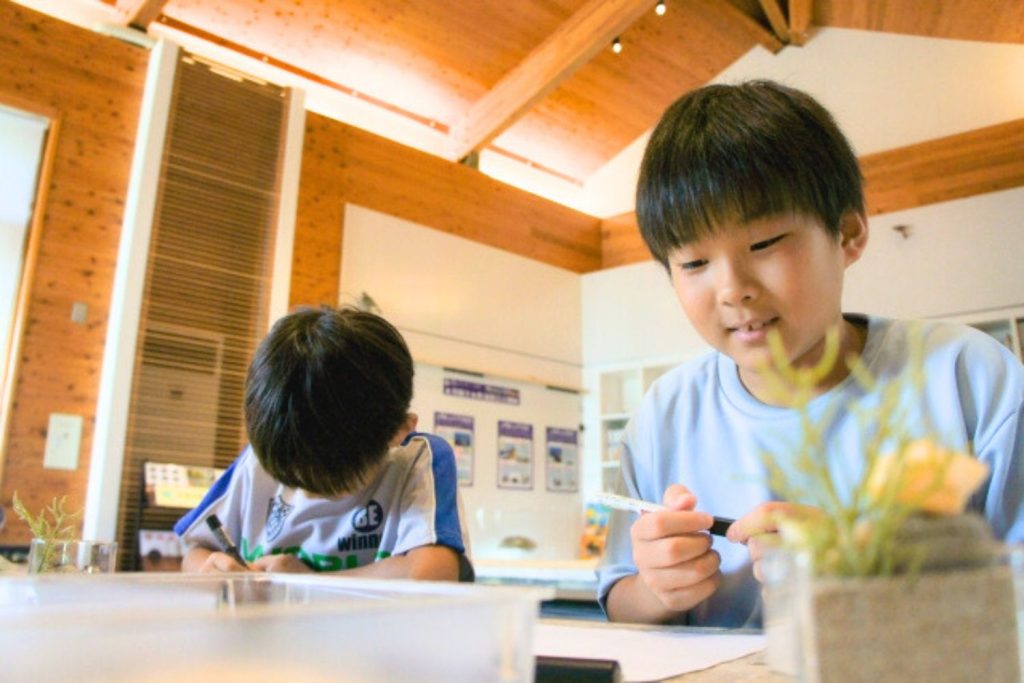 勉強する子ども